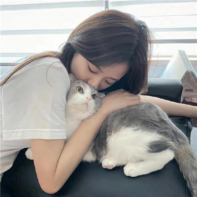 完美犯罪